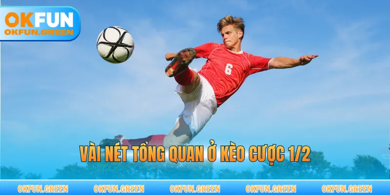Vài nét tổng quan ở kèo cược 1/2
